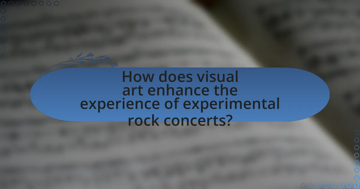 How does visual art enhance the experience of experimental rock concerts?