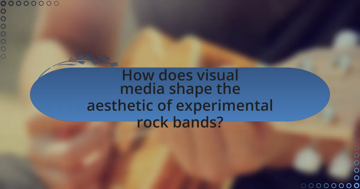 How does visual media shape the aesthetic of experimental rock bands?
