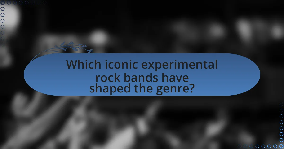 Which iconic experimental rock bands have shaped the genre?